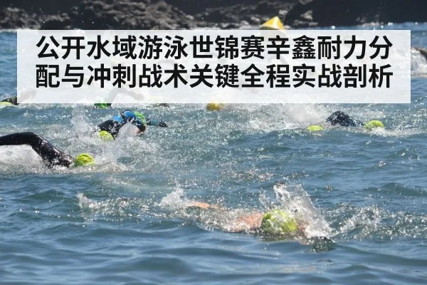 公开水域游泳世锦赛辛鑫耐力分配与冲刺战术关键全程实战剖析 - Sports